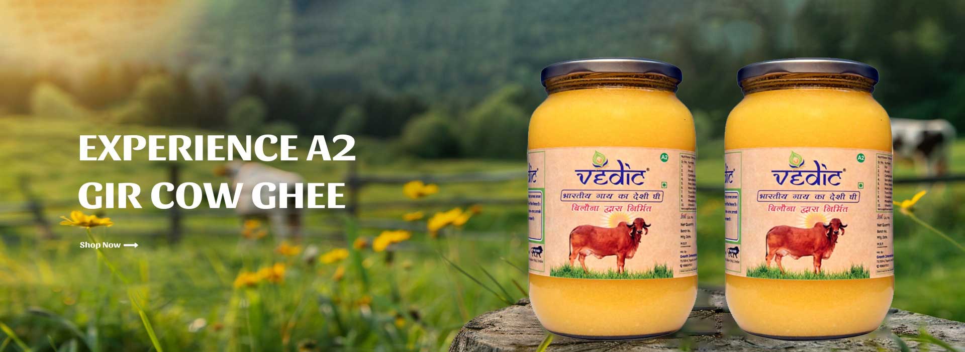 Vedic Ghee